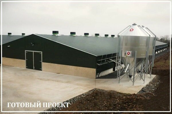 Этапы возведения птицефабрики от завода ВелесТент-кли